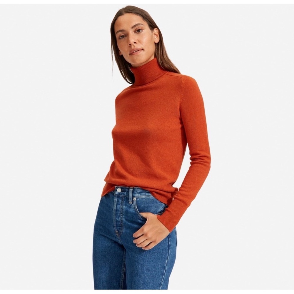 Everlane 100% Cashmere Boho 70sTurtleneck Long Sleeve Sweater‎ Rust Orange S